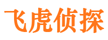 资阳市侦探调查公司